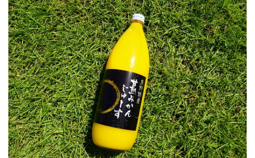 みかんジュース 仲森農園の麗紅甘熟みかんじゅーす 1L×2本 ミカンジュース みかん ミカン 温州みかん ストレート フルーツジュース フルーツ 果物 くだもの 人気 数量限定 仲森農園 三重県 熊野市【nkmr0026】