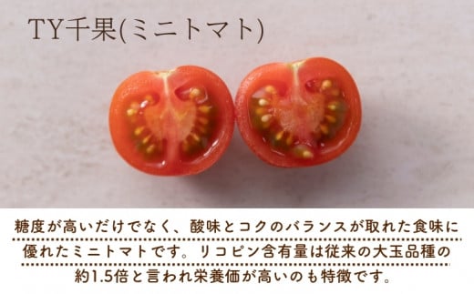 ã2027幎1æä»¥éé
éãçéè¬èåã®ãããããïŒ1.2kgïŒ ããã ããããã çé äºçŽåä»ãkmys0001Aã