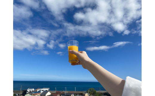 ãäžç¥ç«ãžã¥ãŒã¹ïŒããã180mlÃ3æ¬ ã¿ãã 100% ãªã¬ã³ãžãžã¥ãŒã¹ ãèªå®
çš åäŸ äžéç çéåžãkmkn0139ã