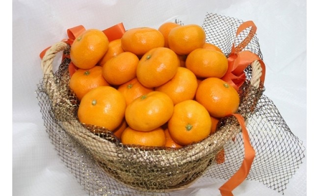 みかんジュース 仲森農園の甘熟みかんじゅーす 1L×3本 ミカンジュース みかん ミカン 温州みかん ストレート フルーツジュース フルーツ 果物 くだもの 人気 数量限定 仲森農園 三重県 熊野市【nkmr0004】