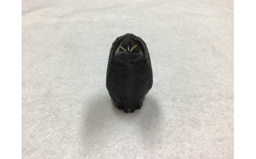 飿ºé»ç³ã®ãŸã¡çéã仮谷æ¢
管å ã®å
«å«çïŒãããããïŒã®çœ®ç©ããkmkn0023ã
