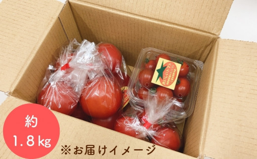 【2027年1月以降配送】熊野薬草園のトマトMIX（1.8kg） トマト ミックス お楽しみ 熊野 予約受付【kmys0003A】