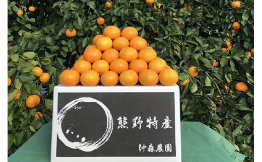 仲森蟲åã®å®ççéã¿ãã 10kgã11æäžæ¬ãã12æäžæ¬ã§é 次çºéãã¿ãã ãã«ã³ èæ æž©å·ã¿ãã ç£å°çŽé äžéç çéåž çéãnkmr0002Aã