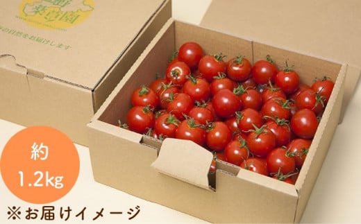 ã2027幎1æä»¥éé
éãçéè¬èåã®ãããããïŒ1.2kgïŒ ããã ããããã çé äºçŽåä»ãkmys0001Aã