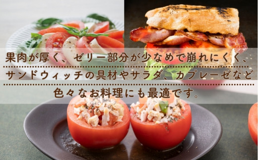 【2027年1月以降配送】熊野薬草園の大玉トマト（1.2kg×2箱） トマト 大玉トマト 熊野 予約受付【kmys0006A】