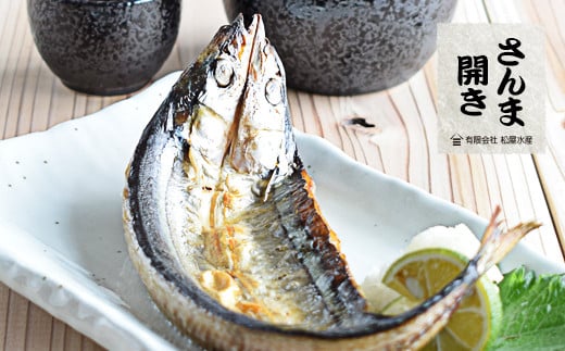 干物 詰め合わせ 6種 16点 干物 ひもの 食べ比べ あじ開き さんま開き かます開き さんまみりん干 さんま丸干 いか一夜干し 松屋水産 三重県熊野市【mtys0002】