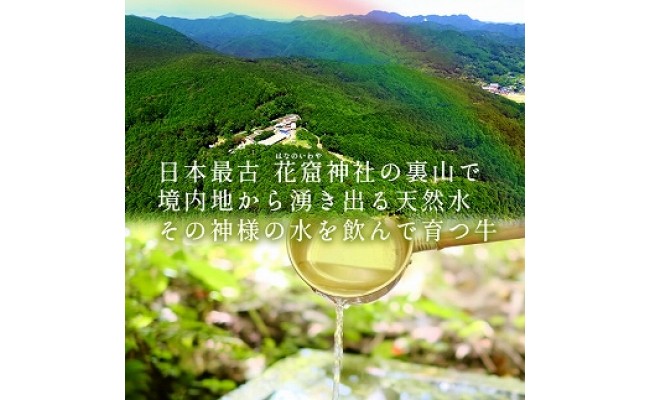 【美熊野牛】カレー  黒毛和牛 希少和牛【okad0001】