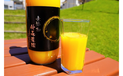 みかんジュース 仲森農園の麗紅甘熟みかんじゅーす 1L×2本 ミカンジュース みかん ミカン 温州みかん ストレート フルーツジュース フルーツ 果物 くだもの 人気 数量限定 仲森農園 三重県 熊野市【nkmr0026】