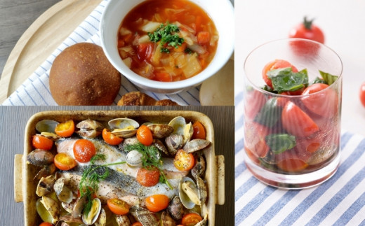 【2027年1月以降配送】熊野薬草園のミニトマト（1.2kg×2箱） トマト ミニトマト 熊野 予約受付【kmys0002A】