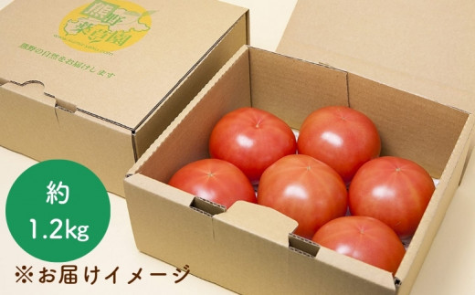 【2027年1月以降配送】熊野薬草園の大玉トマト（1.2kg） トマト 大玉トマト 熊野 予約受付【kmys0005A】