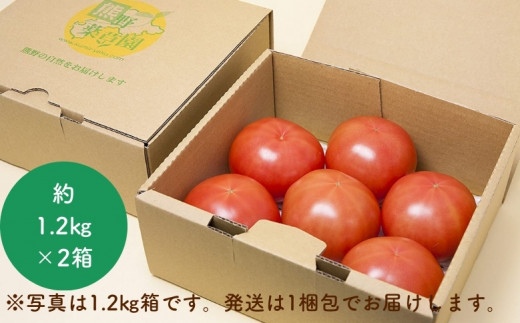 【2027年1月以降配送】熊野薬草園の大玉トマト（1.2kg×2箱） トマト 大玉トマト 熊野 予約受付【kmys0006A】