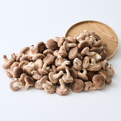 æ€èžå€§éãŠããçãã»ãããé
éäžå¯å°åïŒé¢å³¶ãã1201273ã