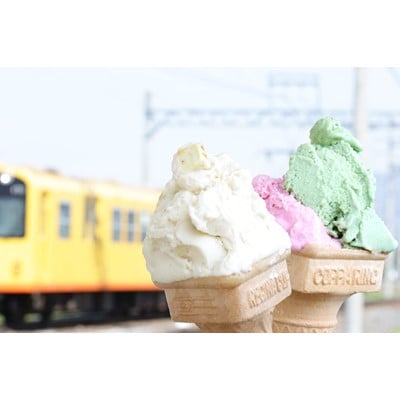 三重県いなべ市の「ジェラートの駅うりぼ〜の」より地産地消のジェラート(おまかせ8個入)をお届け!【配送不可地域：離島】【1201240】