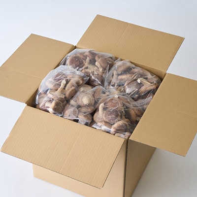 æ€èžå€§éãŠããçãã»ãããé
éäžå¯å°åïŒé¢å³¶ãã1201273ã