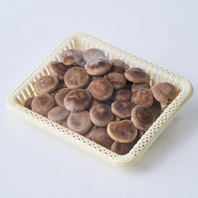 贈答品用椎茸かご盛りセット(大)【配送不可地域：離島】【1201271】