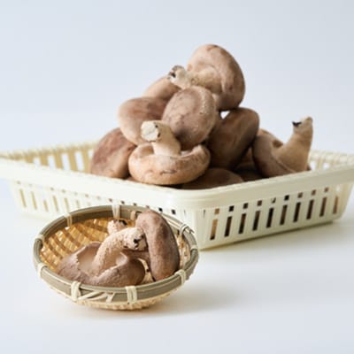 èŽçåçšæ€èžããçãã»ãããé
éäžå¯å°åïŒé¢å³¶ãã1201244ã