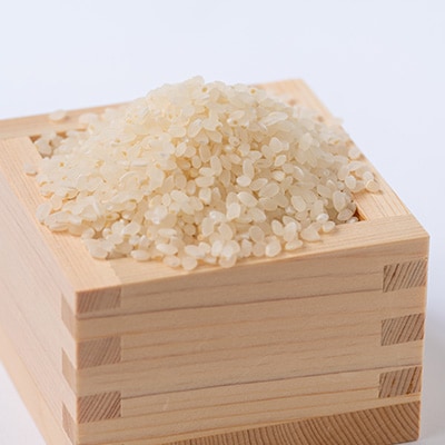 令和7年産　ミルキークイーン 5kg【1431739】