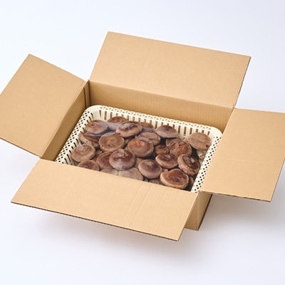 贈答品用椎茸かご盛りセット(大)【配送不可地域：離島】【1201271】