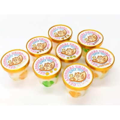 三重県いなべ市の「ジェラートの駅うりぼ〜の」より地産地消のジェラート(おまかせ8個入)をお届け!【配送不可地域：離島】【1201240】