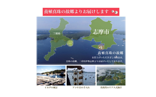 真珠 ピアス アクセサリー パール 3.5ミリ ～ 4ミリ K18 ゴールド 三重県 伊勢志摩 志摩 アクセサリー ギフト プレゼント お祝い 母の日 入学式 卒業式 結婚式 冠婚葬祭 成人祝い 結婚祝い / 老舗の真珠専門店・アコヤベビーパールピアス 3.5-4.0ミリ ( K18 )