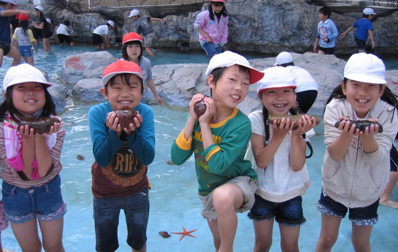 【010-83】磯体験施設海ほおずき　体験利用引換券*