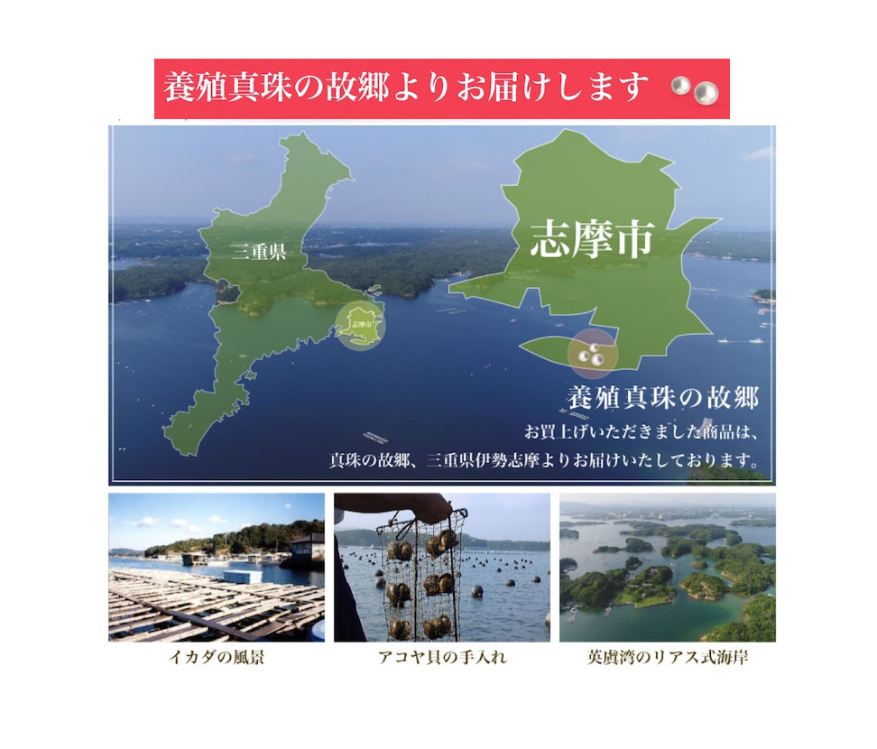 真珠 アクセサリー ネックレス ペンダント パール 8.5ミリ ～ 9ミリ K18 ゴールド 三重県 伊勢志摩 志摩 ジュエリー ギフト プレゼント 冠婚葬祭 入学式 卒業式 結婚式 母の日 バレンタイン ホワイトデー アコヤ真珠 本真珠 / 老舗の真珠専門店・花珠クラス・アコヤ本真珠スルーペンダント