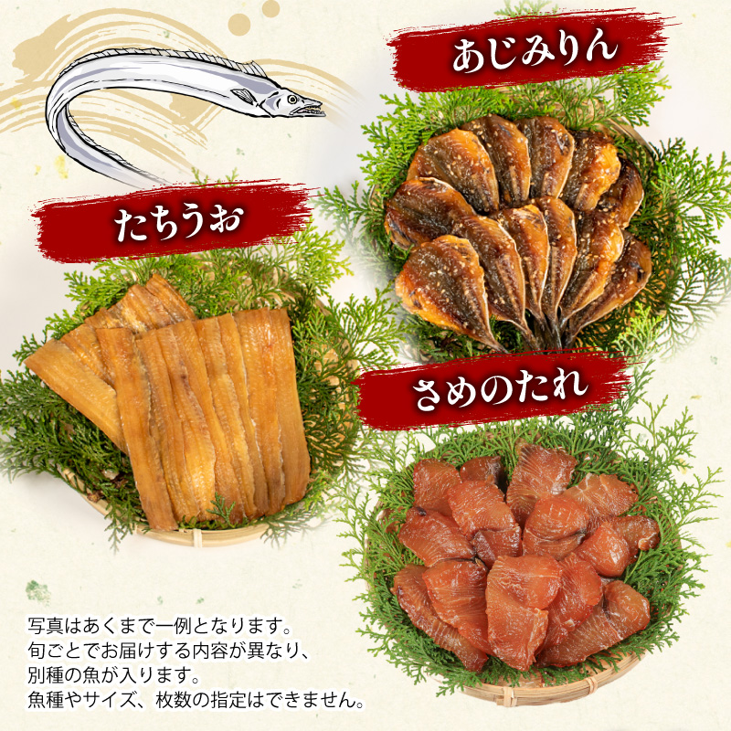 蟷イ迚ゥ 3ス4遞ョ 隧ー蜷医○ 繧サ繝繝 蜀キ蜃 鬲壻サ矩。 豬キ魄ョ 譌ャ 蝗ス逕」