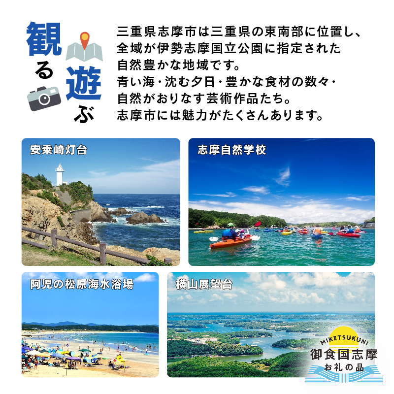 御食国志摩満喫旅行券 60,000円分 旅行 クーポン／伊勢志摩 旅行 伊勢 志摩 旅行券 三重 観光 宿泊券 利用券 体験 トラベル チケット 観る 遊ぶ 食べる 泊まる 温泉 ホテル 旅館 ギフト 金券 国内旅行 東海 近畿 アウトドア 絶景 海 いせ しま かんこう りょこう 200000円 二十万円 20万円