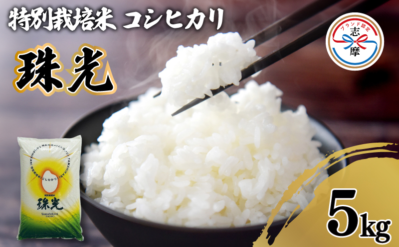 新米 特別栽培米 コシヒカリ 5kg「珠光」 / 令和6年産 ブランド米 新米 米 白米 精米 コシヒカリ お米 5kg ご飯 伊勢 志摩 三重県 12000円 一万二千円