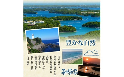 あおさの佃煮 80g × 3個 海苔 あおさ 佃煮 伊勢 志摩 三重県 ご飯 おにぎり おつまみ 朝ごはん おにぎり 海藻 国産 朝食 お手軽 ふるさと納税 人気 伊勢志摩産 小分け ふるさと 5000円 五千円 5000円以下 5000円以内