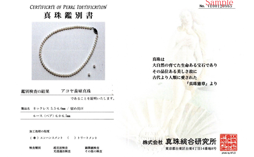 真珠 ネックレス イヤリング セット シルバー パール 5.5ミリ ～ 6ミリ アクセサリー ジュエリー 三重県 伊勢志摩 志摩市 アコヤ貝 冠婚葬祭 結婚式 葬式 フォーマル / 老舗の真珠専門店・高品質アコヤ真珠ネックレス・イヤリングセット5.5～6.0ミリ