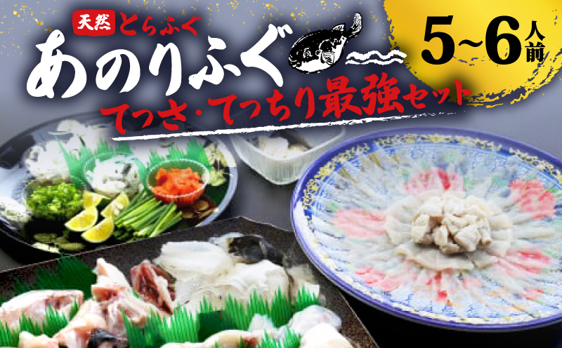 とらふぐ 5～6人前 てっさ てっちり 期間限定 セット 天然 あのりふぐ 2匹 冷蔵 ふぐ刺身 河豚刺し 鍋 刺身 刺し身 ふるさと納税ふぐ ふるさと納税とらふぐ 鮮魚 海鮮 魚介 冬 三重 伊勢志摩 志摩市