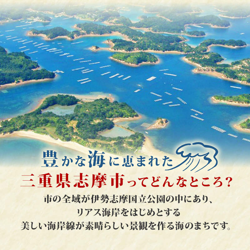 あおさ 18g 8袋 小分け セット 国産 海藻 新鮮 朝食 お手軽 簡単 味噌汁 みそ汁 お味噌汁 お吸い物 スープ 具 乾燥 朝食 伊勢 志摩 伊勢志摩 三重県 みえ いせしま いせ しま 10000円 1万円 一万円 10000円以下