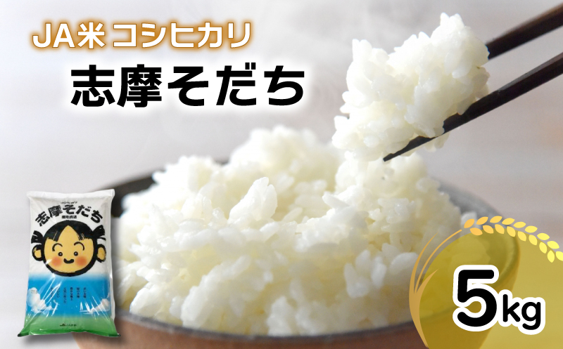 新米 コシヒカリ 5kg JA米「志摩そだち」 / 令和6年産 ブランド米 新米 米 白米 精米 コシヒカリ お米 5kg ご飯 伊勢 志摩 三重県 11000円 一万千円