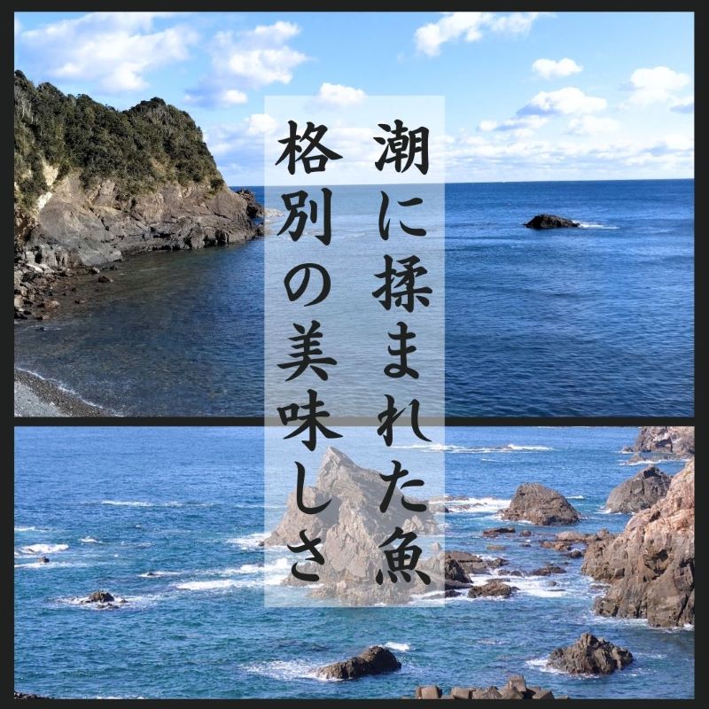 干物職人が選ぶ朝獲れ魚の干物 五種セット ／ 干物 ひもの 5種 旬 おまかせ おたのしみ お楽しみ 産地直送 セット 詰め合わせ おかず 朝食 老舗 角助屋 伊勢 志摩 三重県 20000円 2万円 二万円