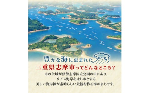あおさの佃煮 80g × 3個 海苔 あおさ 佃煮 伊勢 志摩 三重県 ご飯 おにぎり おつまみ 朝ごはん おにぎり 海藻 国産 朝食 お手軽 ふるさと納税 人気 伊勢志摩産 小分け ふるさと 5000円 五千円 5000円以下 5000円以内