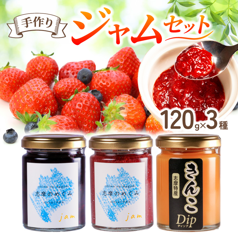 ジャム 3種 セット 120g×３個 いちご ブルーベリー きんこ 詰め合わせ フルーツ 果物 苺 ストロベリー レッドパール 芋 トースト パン 朝食 朝ご飯 贈り物 プレゼント ギフト 手作り 三重 伊勢志摩 志摩市 志摩のめぐみジャムセット 5000円 5千円 五千円