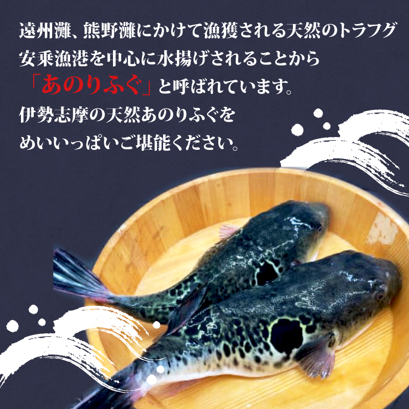 とらふぐ 4～5人前 てっちり 期間限定 セット 天然 あのりふぐ 1匹 鍋 河豚鍋 ふぐ鍋 ふるさと納税ふぐ ふるさと納税とらふぐ 鮮魚 魚介 海鮮 旬 冬 鍋料理 海鮮鍋 三重 伊勢志摩 志摩