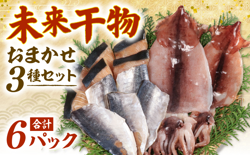 未来干物 おまかせ3種セット 合計6パック 干物 ひもの 冷凍 おまかせ お楽しみ 朝食 夕食 お惣菜 おかず 骨なし 簡単調理 三重県 志摩市 伊勢 志摩 10000円 1万円 一万円