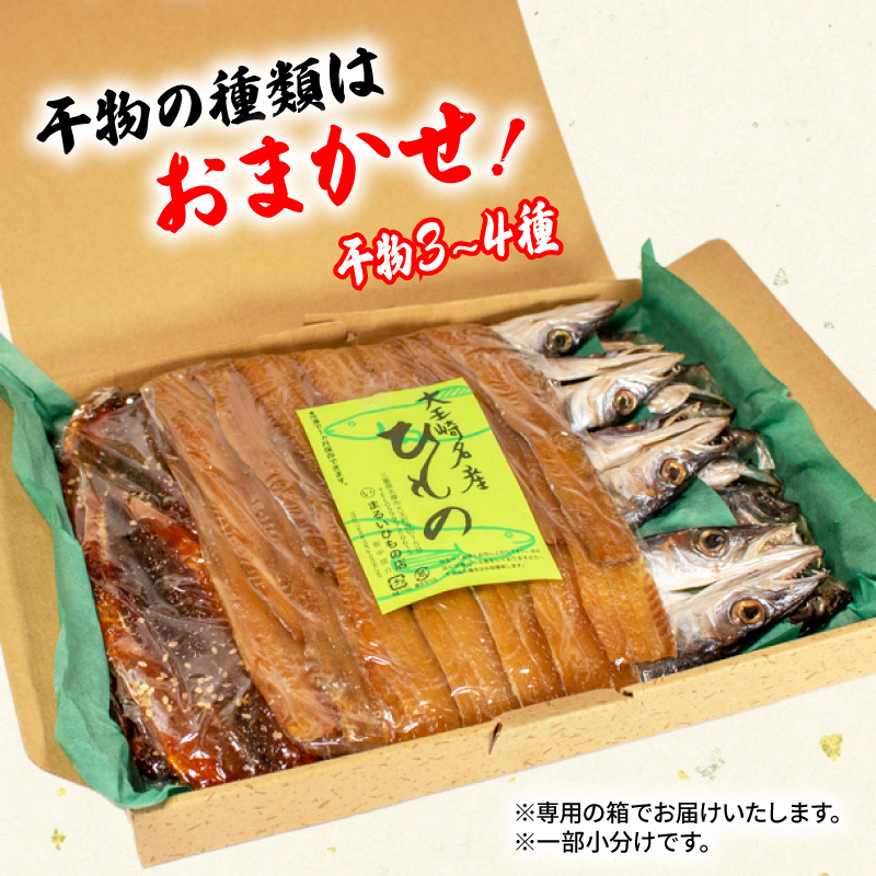 蟷イ迚ゥ 3ス4遞ョ 隧ー蜷医○ 繧サ繝繝 蜀キ蜃 鬲壻サ矩。 豬キ魄ョ 譌ャ 蝗ス逕」