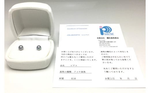 真珠 ピアス 5.0～5.5ミリ Pt900 プラチナ アクセサリー パール アコヤ真珠 伊勢 志摩 伊勢志摩 英虞湾 冠婚葬祭 慶事 弔事 結婚式 入学式 卒業式 ギフト フォーマル カジュアル 誕生石 記念日 / 老舗の真珠専門店・高品質アコヤ真珠ブルーピアス5.0～5.5ミリ（Pt900）
