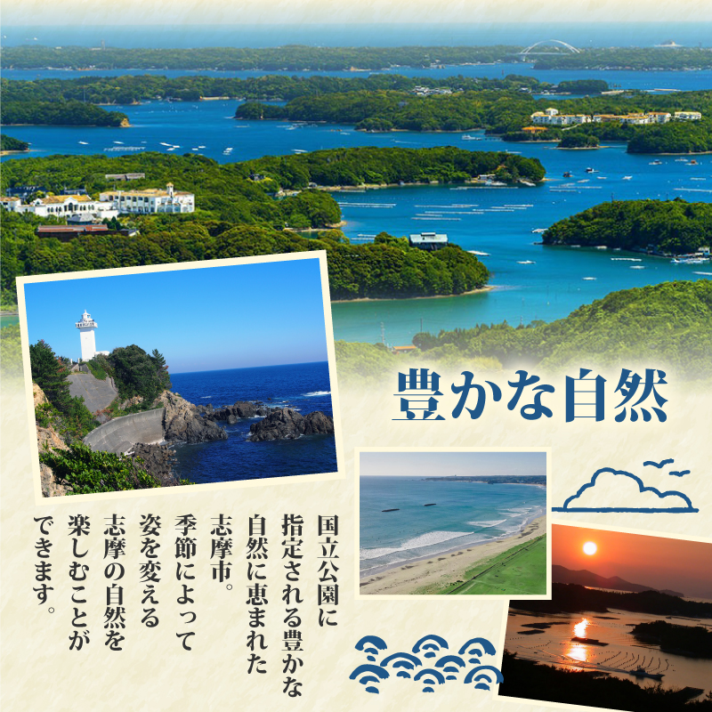 あおさ 18g 8袋 小分け セット 国産 海藻 新鮮 朝食 お手軽 簡単 味噌汁 みそ汁 お味噌汁 お吸い物 スープ 具 乾燥 朝食 伊勢 志摩 伊勢志摩 三重県 みえ いせしま いせ しま 10000円 1万円 一万円 10000円以下