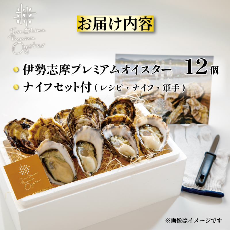 牡蠣 殻付き 12個入 的矢かき 生食用 カキ かき 的矢牡蠣 的矢 牡蠣 養殖 的矢湾 生食 ブランド 伊勢志摩 伊勢 志摩 新鮮 養殖場 直送 年末年始 お正月 お歳暮 贈答 いせ しま まとや 濃厚 貝 魚貝類 新鮮 旨味 いかだ荘 一万円 1万円 10000円 伊勢志摩プレミアムオイスター