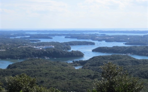 真珠の里　大珠アコヤ真珠8.5-9ｍｍ　スルーネックレス / 18金 あこや ネックレス ペンダント 真珠 伊勢志摩 志摩 アクセサリー ギフト パール 母の日 ホワイトデー クリスマス 入学式 卒業式 結婚式 冠婚葬祭 