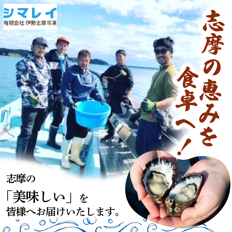 英虞湾産 シングルシードオイスター 「アマテラス」15個 ／ 牡蠣 カキ 生牡蠣 オイスター 生食 生 殻付き ナイフ付き 産地直送 海鮮 海産物 魚貝類 新鮮 シングルシード 伊勢 志摩 三重県 10000円 1万円 一万円