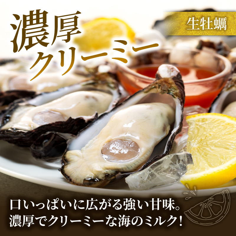 牡蠣 殻付き 12個入 的矢かき 生食用 カキ かき 的矢牡蠣 的矢 牡蠣 養殖 的矢湾 生食 ブランド 伊勢志摩 伊勢 志摩 新鮮 養殖場 直送 年末年始 お正月 お歳暮 贈答 いせ しま まとや 濃厚 貝 魚貝類 新鮮 旨味 いかだ荘 一万円 1万円 10000円 伊勢志摩プレミアムオイスター