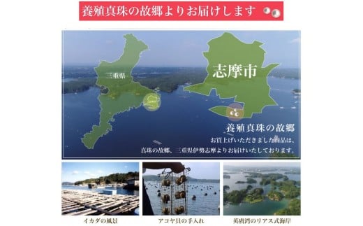 真珠 アクセサリー ネックレス ペンダント パール 8.5ミリ ～ 9ミリ Pt850 プラチナ 三重県 伊勢志摩 志摩 ジュエリー ギフト プレゼント 冠婚葬祭 入学式 卒業式 結婚式 母の日 バレンタイン ホワイトデー アコヤ真珠 本真珠 / 老舗の真珠専門店・花珠クラス・アコヤ本真珠スルーペンダント