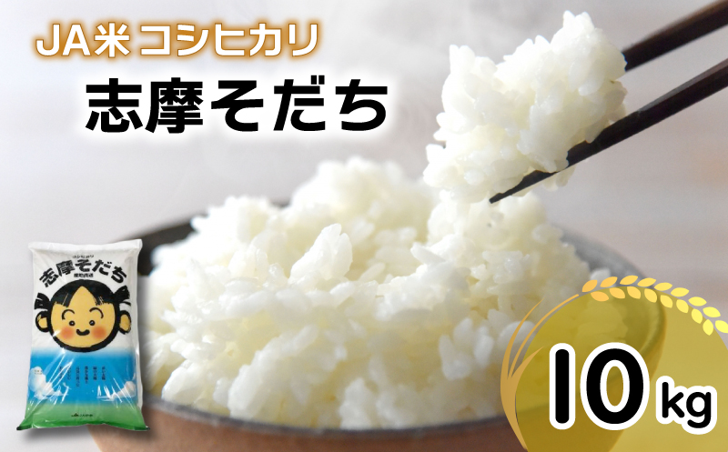 新米 コシヒカリ 10kg JA米「志摩そだち」 / 令和6年産 ブランド米 新米 米 白米 精米 コシヒカリ お米 10kg ご飯 伊勢 志摩 三重県 20000円 2万円 二万円