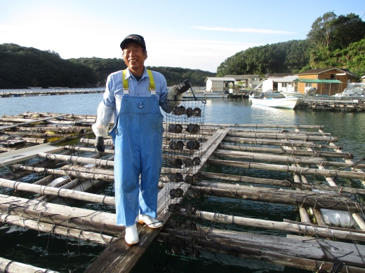 真珠の里　大珠アコヤ真珠8.5-9ｍｍ　スルーネックレス / 18金 あこや ネックレス ペンダント 真珠 伊勢志摩 志摩 アクセサリー ギフト パール 母の日 ホワイトデー クリスマス 入学式 卒業式 結婚式 冠婚葬祭 