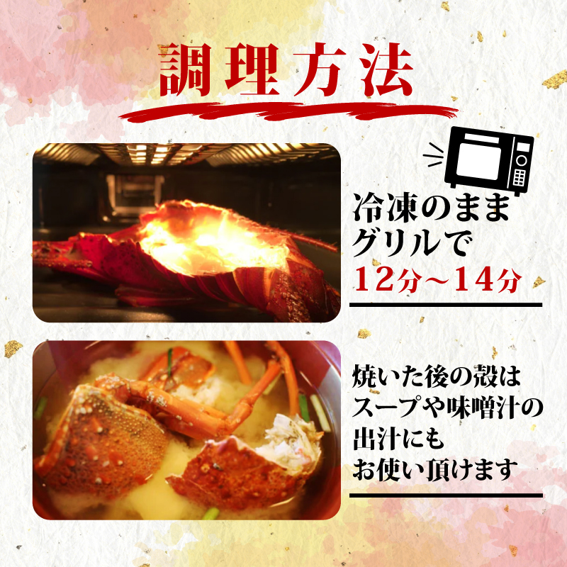 伊勢海老 干物 / 天然 伊勢志摩 えび エビ 〔027-03〕